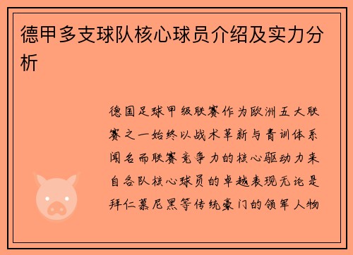 德甲多支球队核心球员介绍及实力分析
